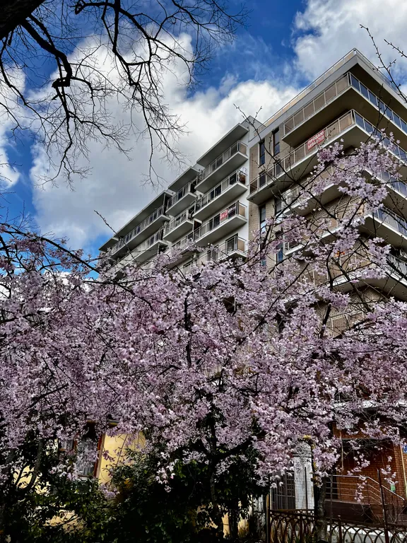 Квартира 2-х комнатная квартира в санаторном парке — Горячий Ключ