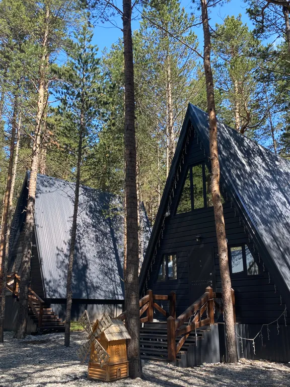 Семейный дом стандарт с видом на сосновый лес