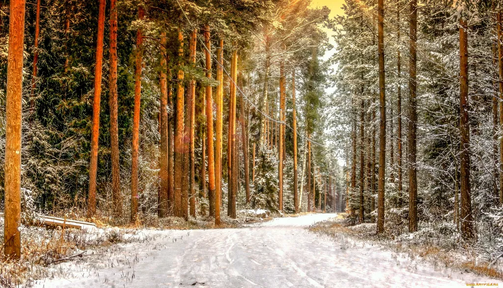 Коттедж 2-комнатный Дом — Мичуринское