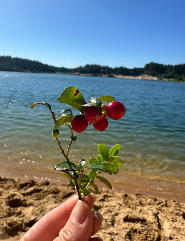 Уютный дом в Токсово