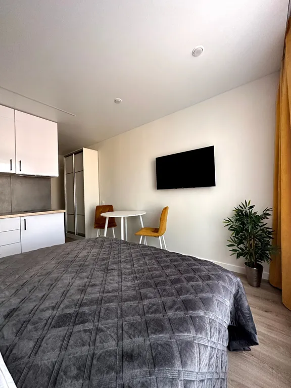 Уютная студия в центре