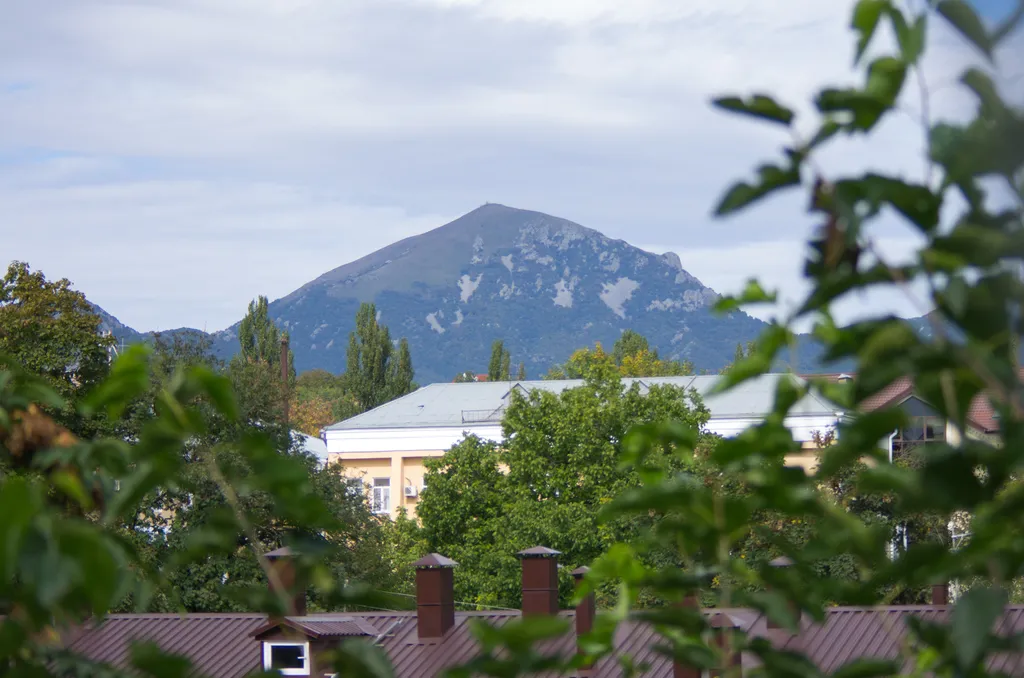 Каштановая аллея