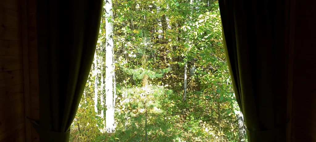 Уютный домик с комфортом  в лесу