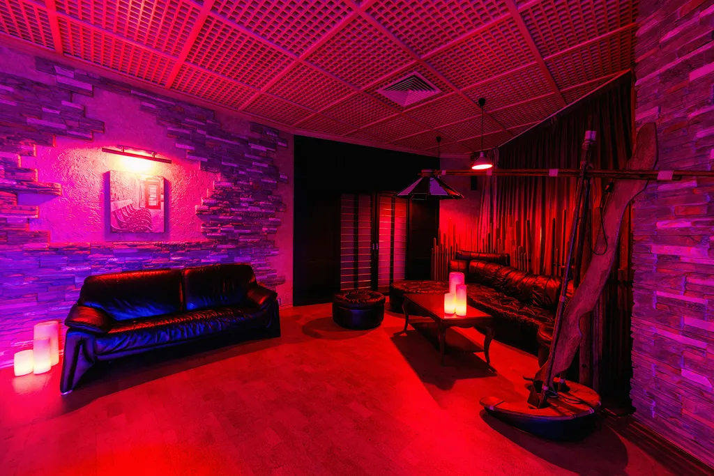 Дом-замок в Москве! Спа-зона, барбекю-зона внутри, караоке, кинозал...