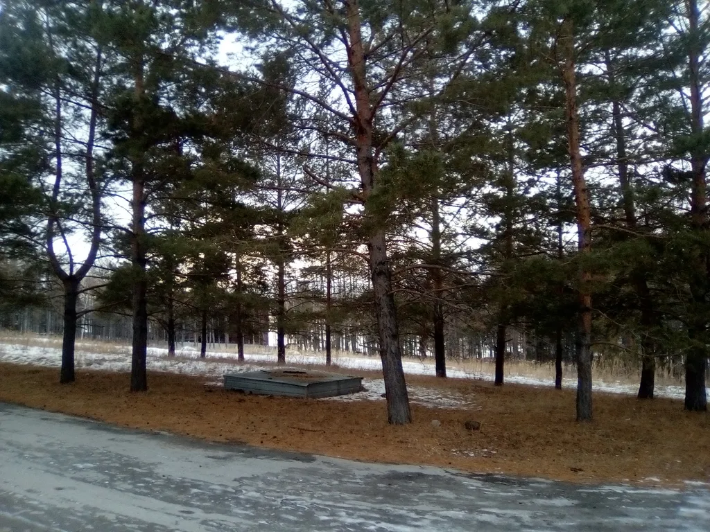 Квартира на берегу озера Банное