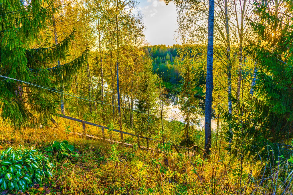 Коттедж Уютный коттедж на берегу реки — Волхов