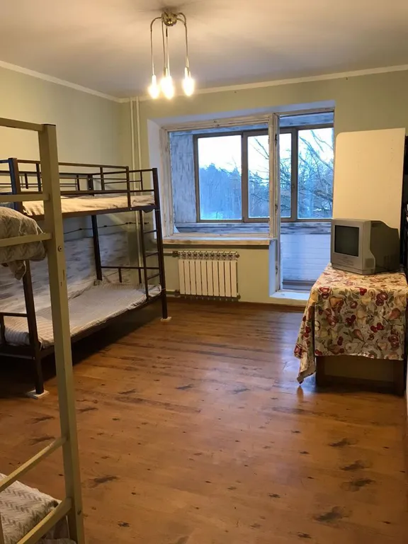 Апартаменты в лесу