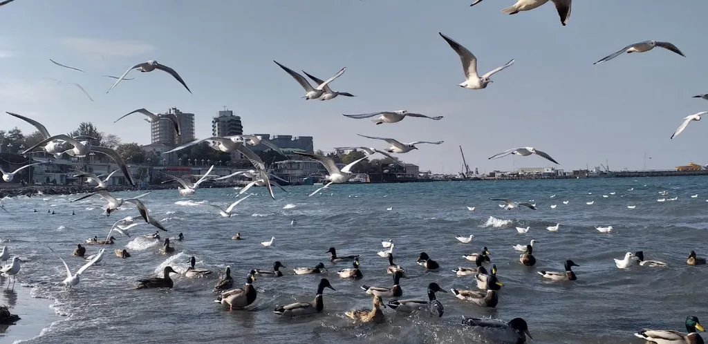 Квартира Квартира Светлая просторная студия — Анапа