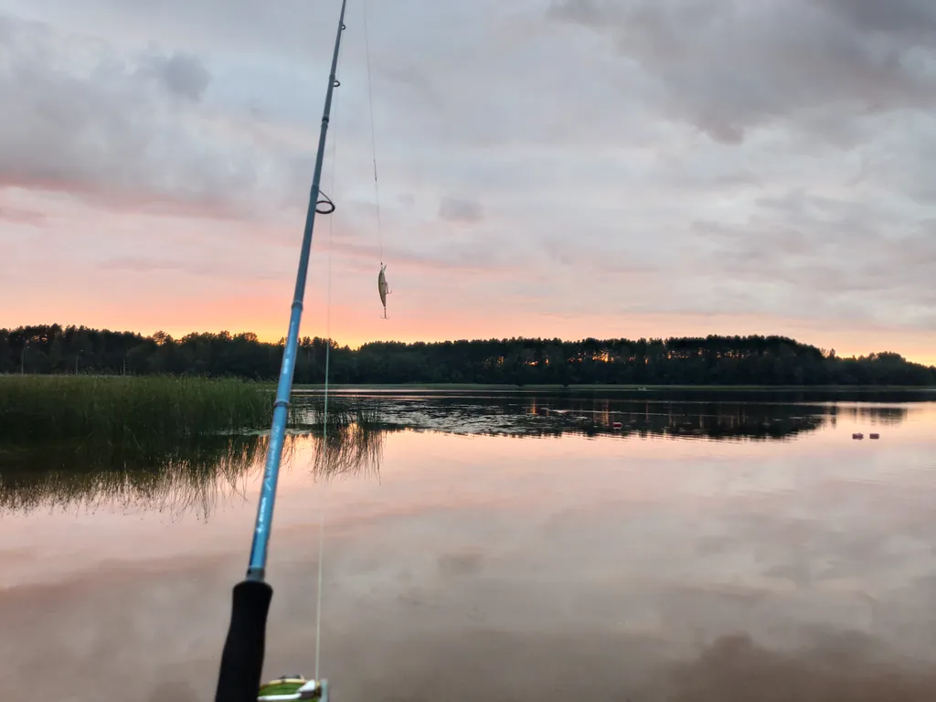 Дом в окружении леса, озёр и рек, около турбазы Алоль