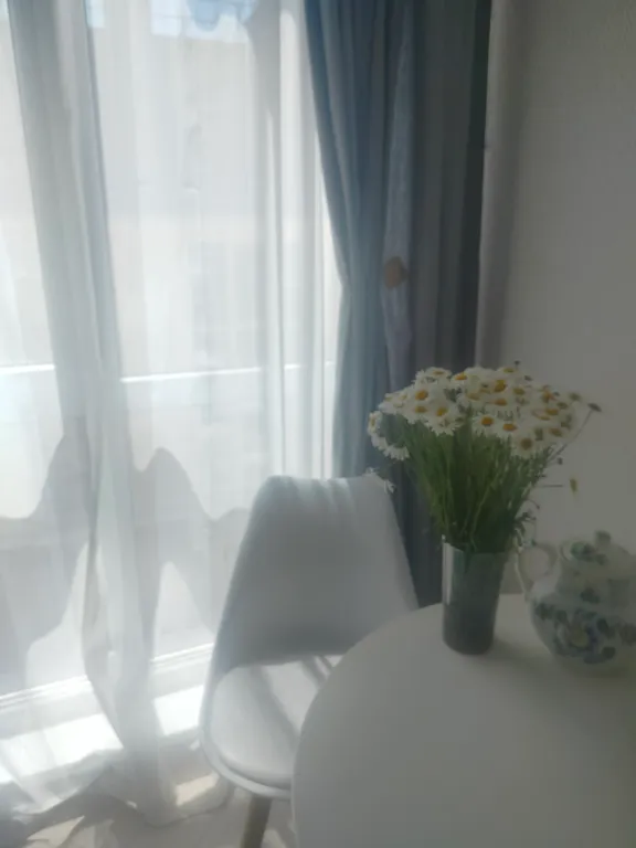 Квартира Квартира Эгина с бассейном — Сочи