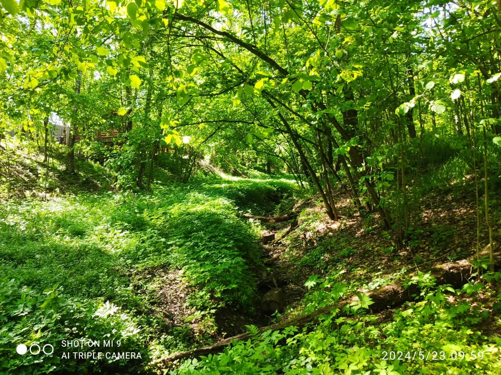 Стильный дом с лесной территорией, недалеко пруд с пляжем