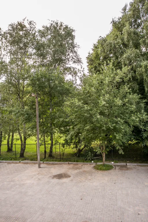 Уютные апартаменты в Светлогорске