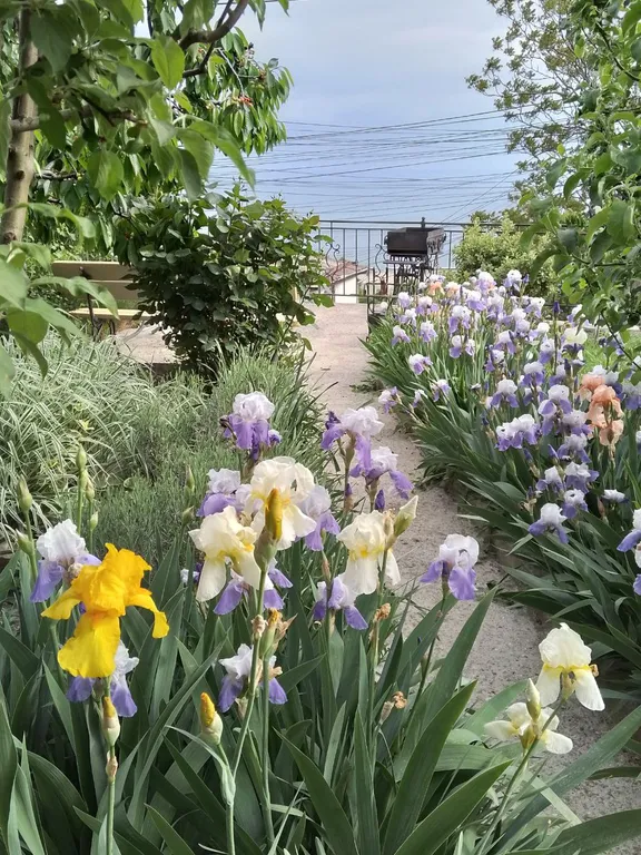 Отдых с видом на море