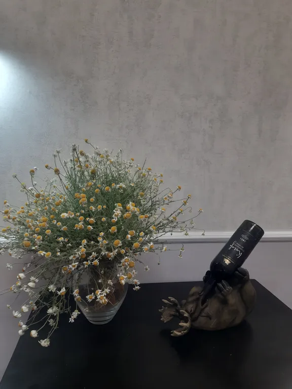 Первый этаж в центре инфраструктуры в Севастополе