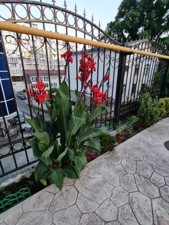 Отличная однокомнатная!!!