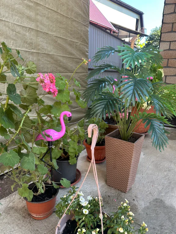 Коттедж Домик под ключ «Райский уголок» — Макопсе