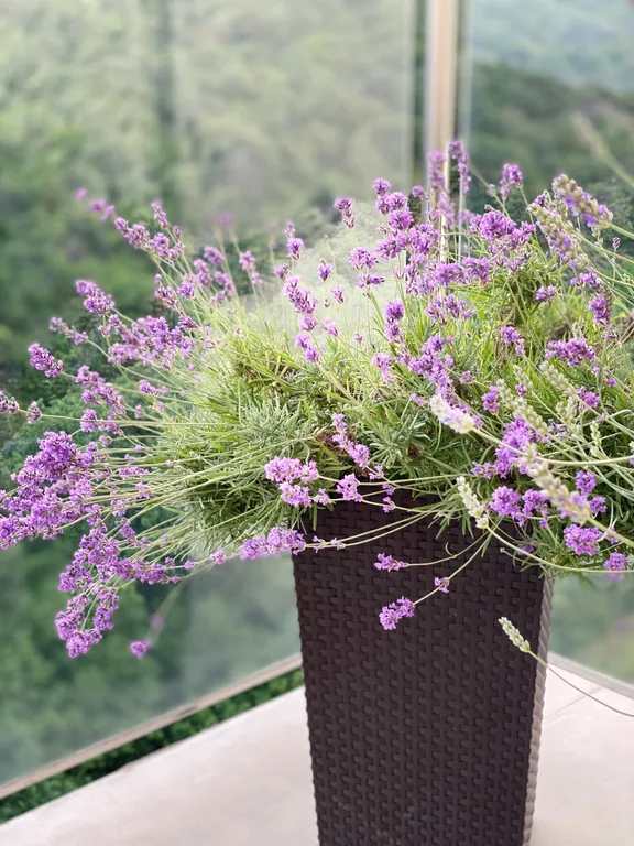 Квартира Пентхаус с видом на море — Варваровка