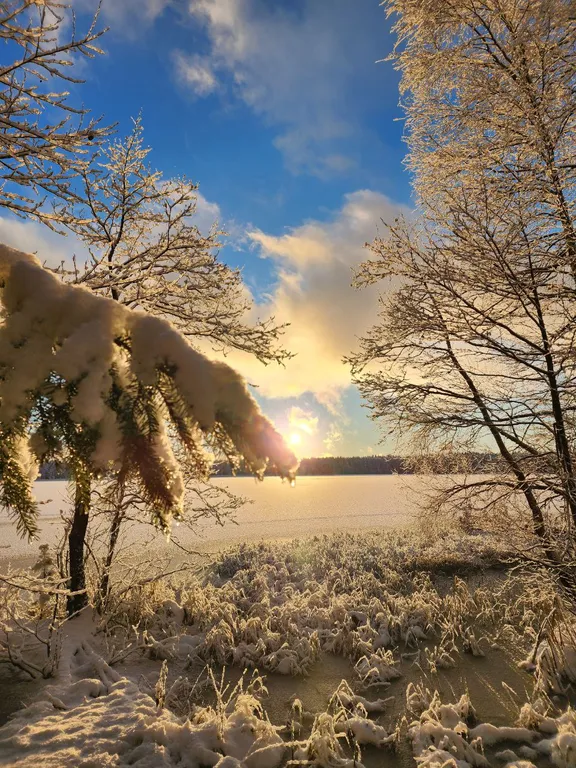 Дом в лесу Таттипортти