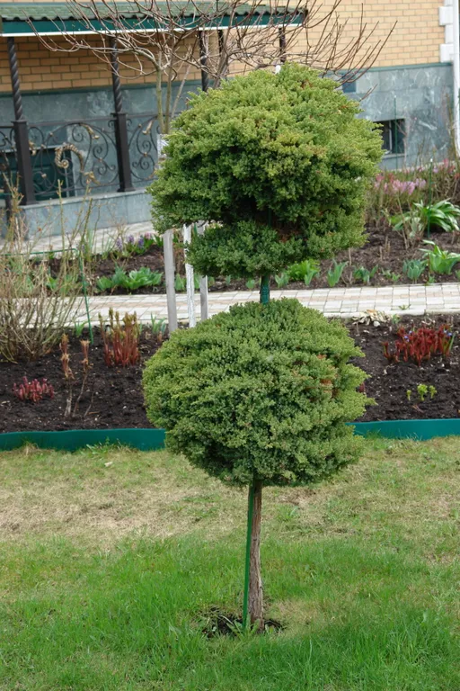 Дом в ботаническом саду