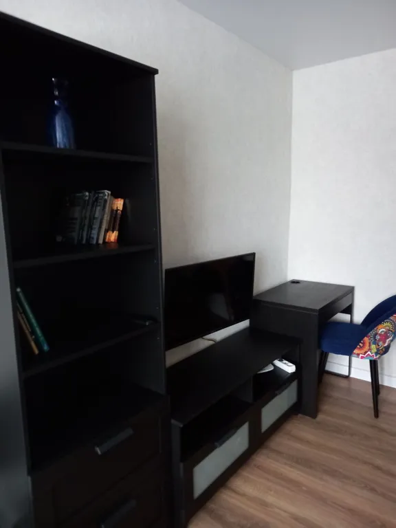 Квартира у озера Кабан и нового театра Камала.