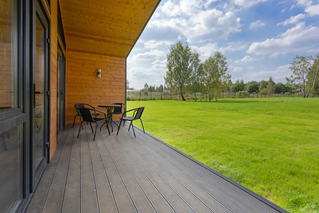 Виноградная лоза