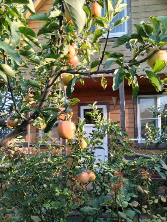 Тихое, спокойное место