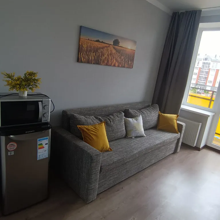 1-комнатная Квартира — аренда посуточно в Светлогорск