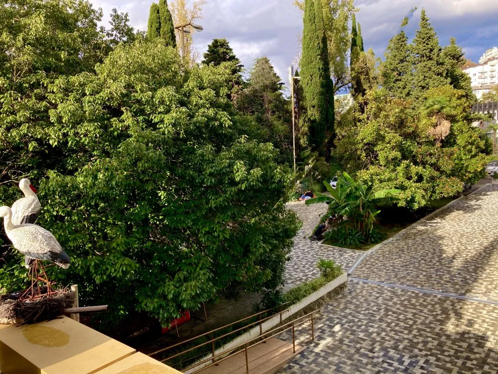 Квартира Апартаменты Светлана-Центр с видом на сад магнолий — Сочи