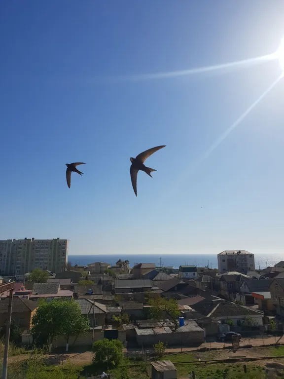 Квартира с видом на море