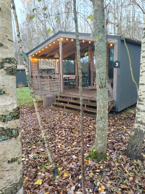 Дом с березами