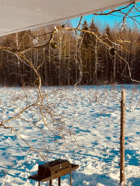 Атмосферный дом у леса