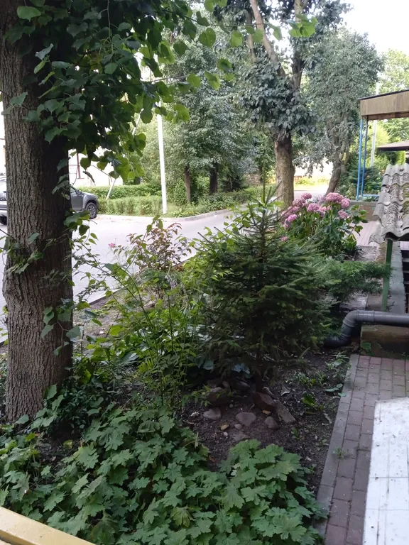 Квартира Уютная квартира в центре — Калининград