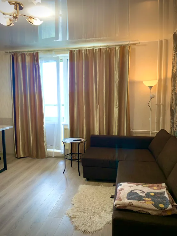 Студия в доме у метро