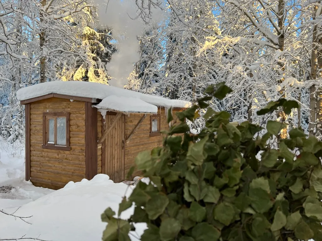 Дом с баней у леса