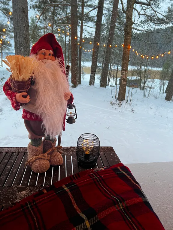 Стильный дом на берегу Ладожского озера с панорамным видом
