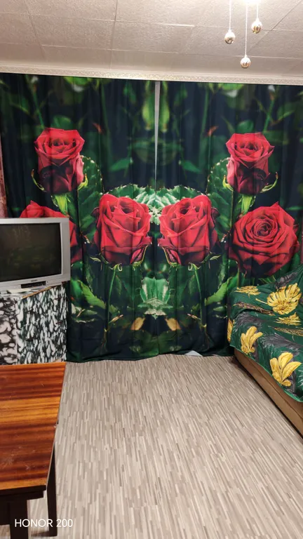 Квартира в истористическом месте