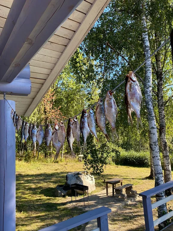 Фиалковый дом на Ладоге