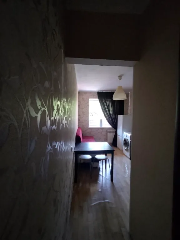 Отличная евродвушка в новом доме с двумя диванами