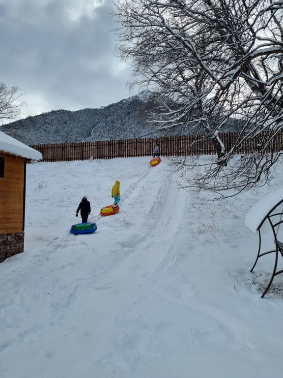 Уютный коттедж в хвойном лесу