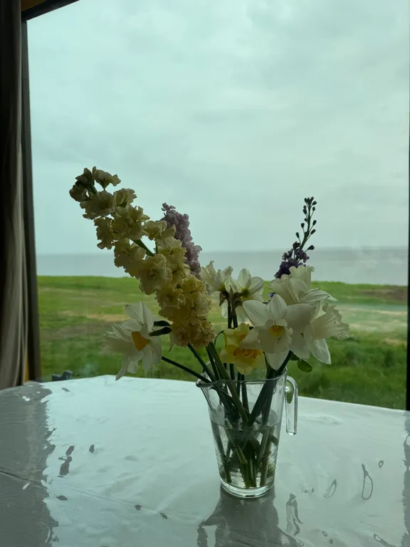 Дом с видом на море первая линия