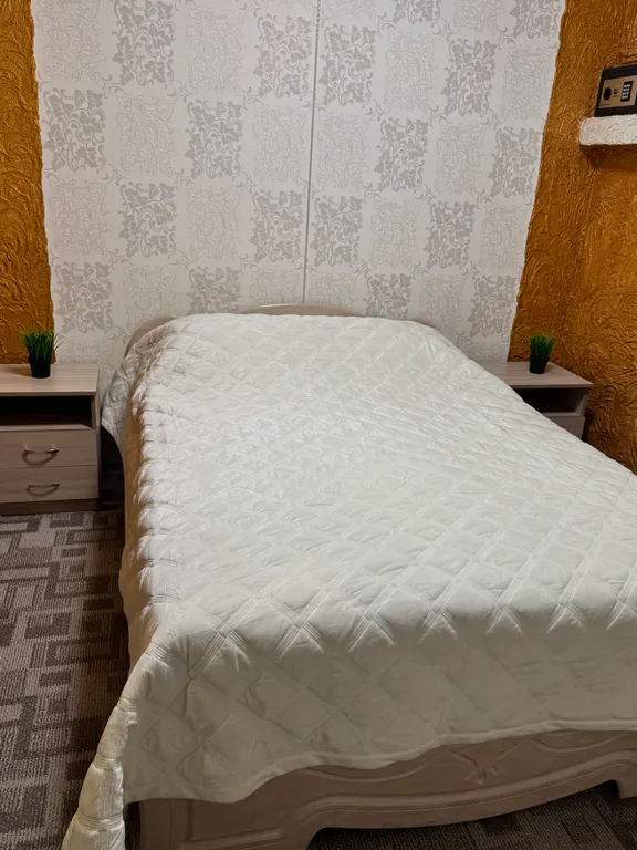 Омск, Кировский у ТЦ Мега