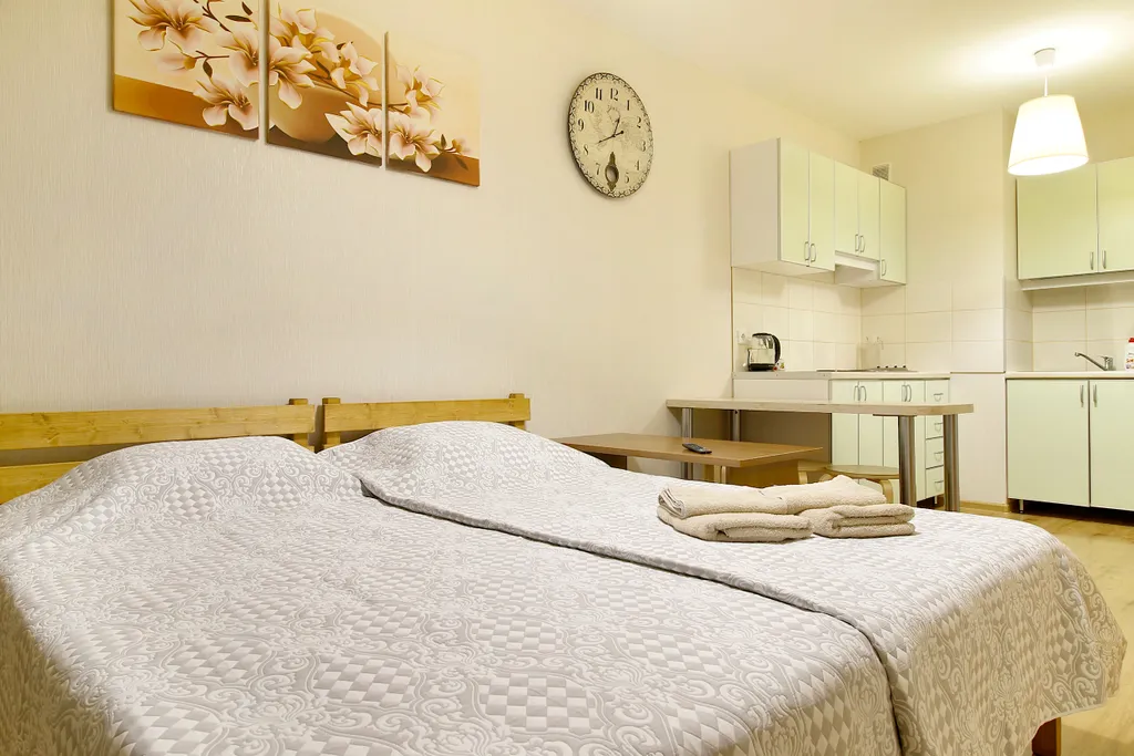 Квартира Студия белые ночи — аренда посуточно в Петрозаводск