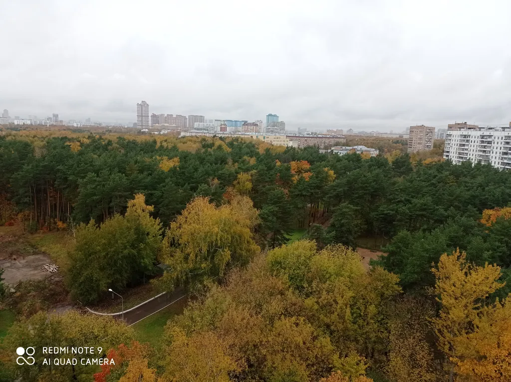 Квартира Квартира с видом на сосновую рощу — Москва
