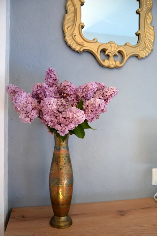 Квартира 1-комнатная Квартира — Севастополь