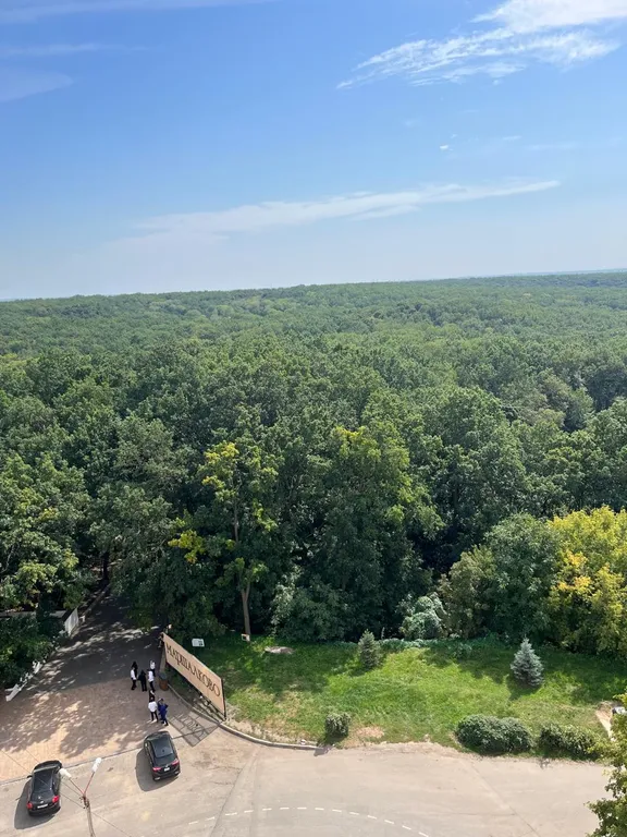 Квартира с лучшей локацией в городе