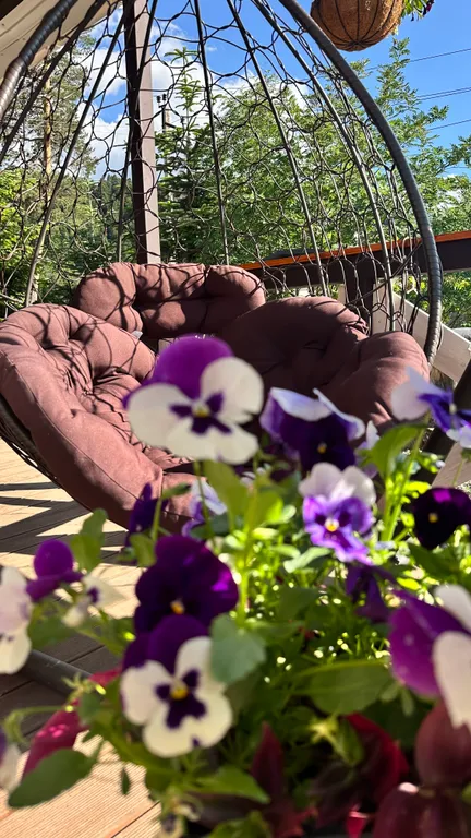 Гостевой дом-под небом архыза