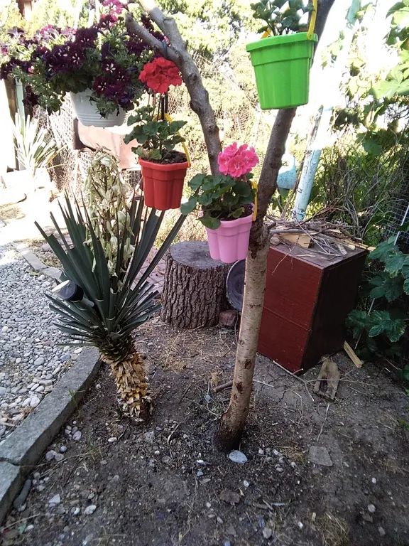 Гостевой дом Лаванда