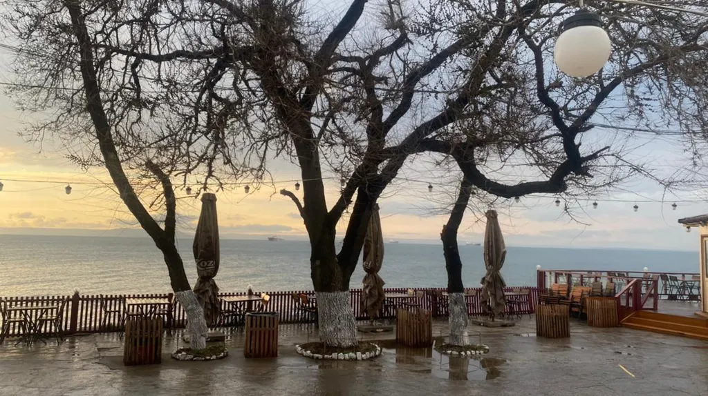 Студия на берегу моря, центр