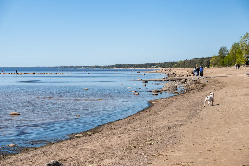 Дом на 1 линии у Финского залива