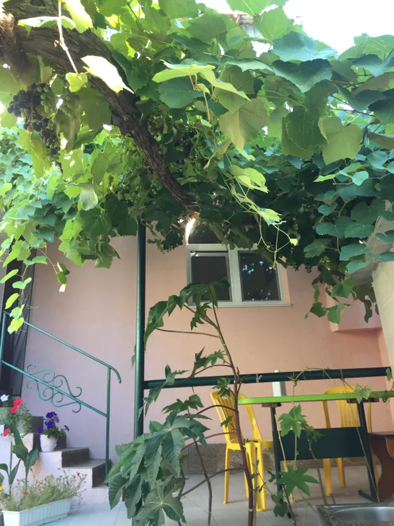 Коттедж Дом у моря — аренда посуточно в Кореиз